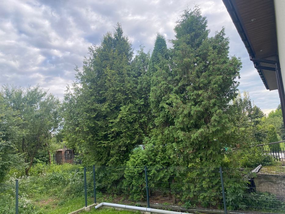 dom szeregowy Kolno, ul. Łabno Małe. Zdjęcie 4