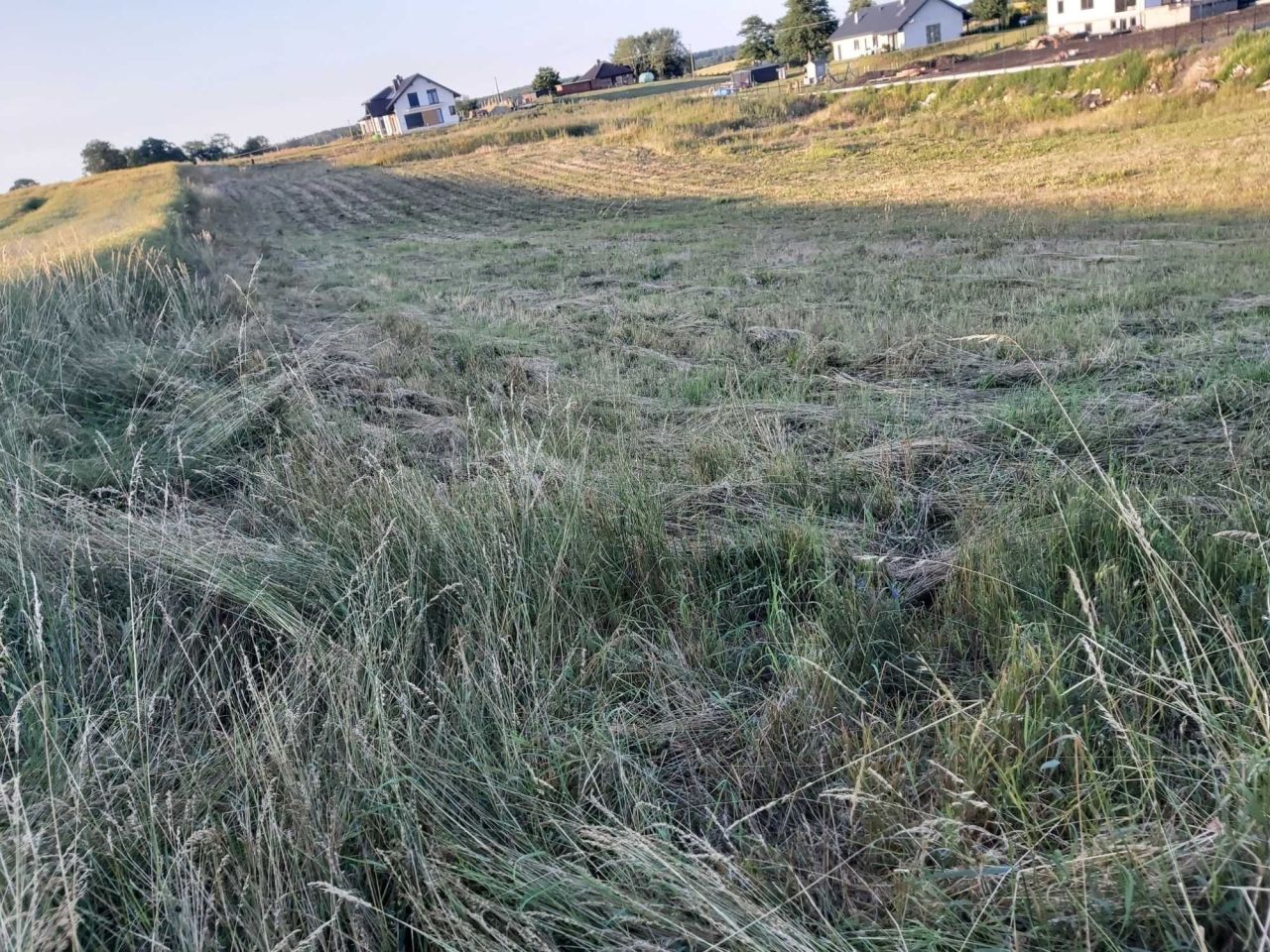 Działka budowlana Marcelin. Zdjęcie 7