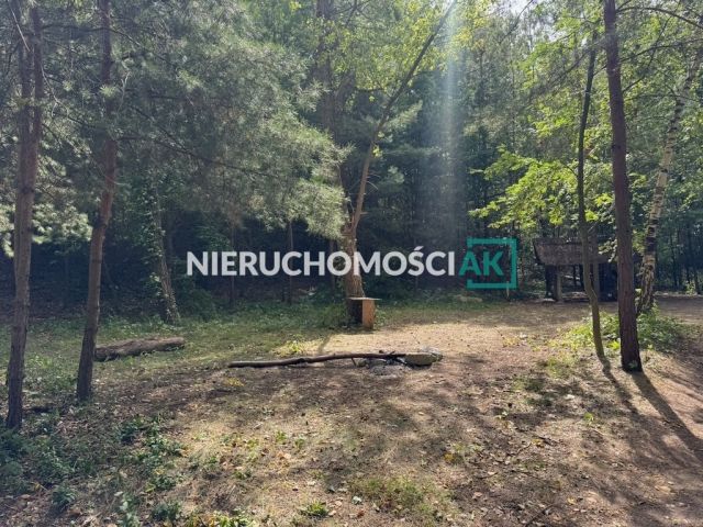 Działka leśna Głębockie Pierwsze. Zdjęcie 5