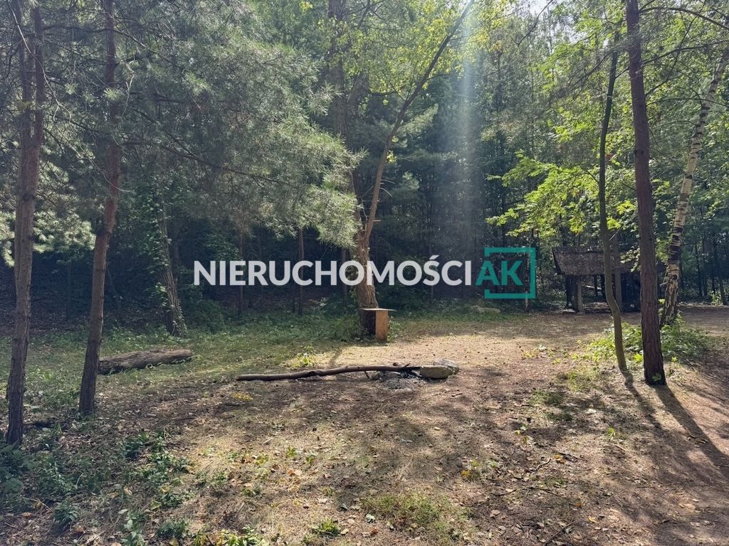 Działka leśna Głębockie Pierwsze. Zdjęcie 5