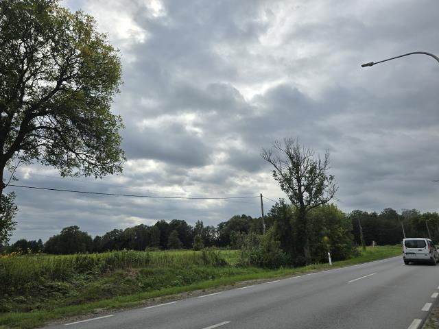 Działka budowlana Duczki, ul. Szosa Jadowska. Zdjęcie 2