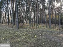 Działka budowlana Słupno, ul. Miszewska. Zdjęcie 1