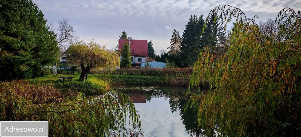 dom wolnostojący, 4 pokoje Gajewo. Zdjęcie 12