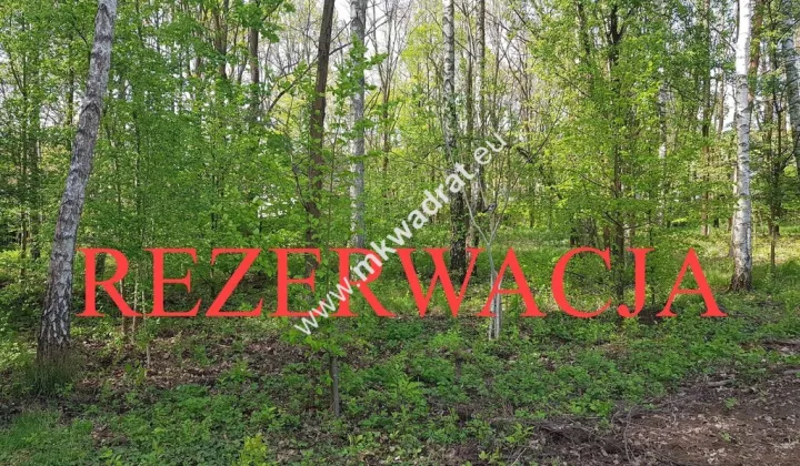 Działka budowlana Stare Budy Radziejowskie