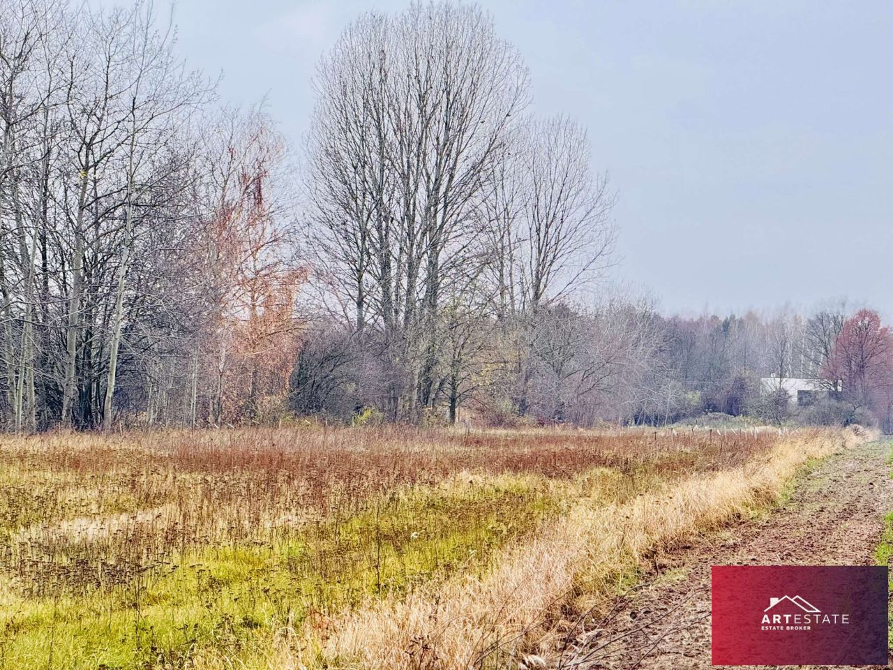 Działka rekreacyjna Nowy Adamów. Zdjęcie 15