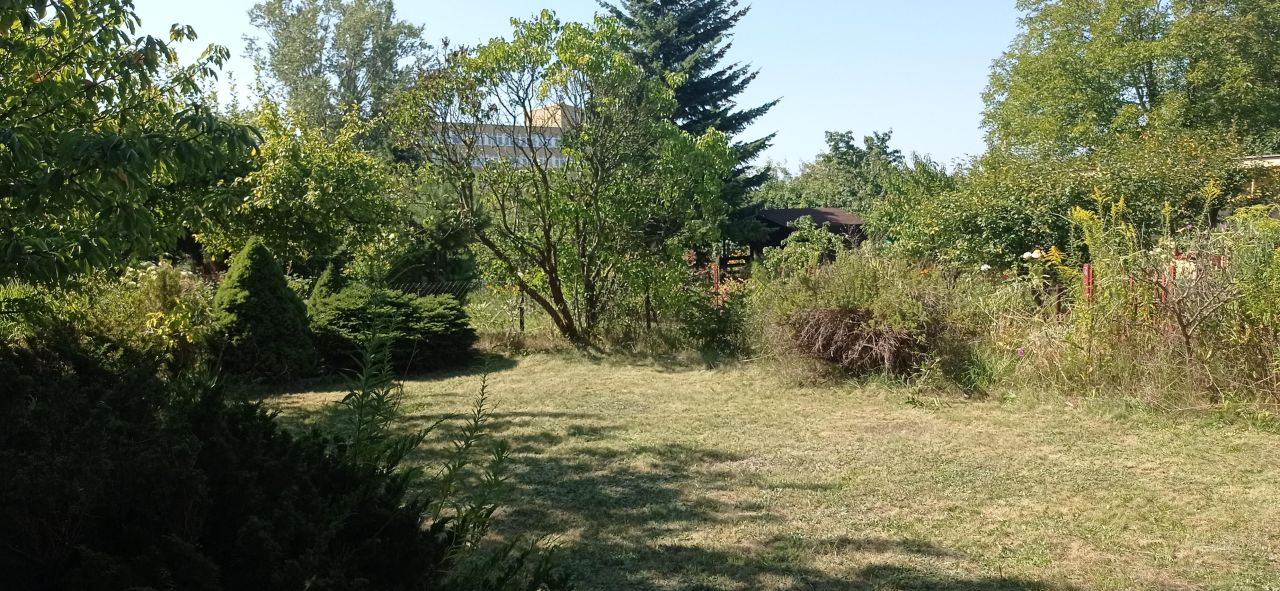 Działka rod Łódź Widzew, ul. Lodowa. Zdjęcie 40