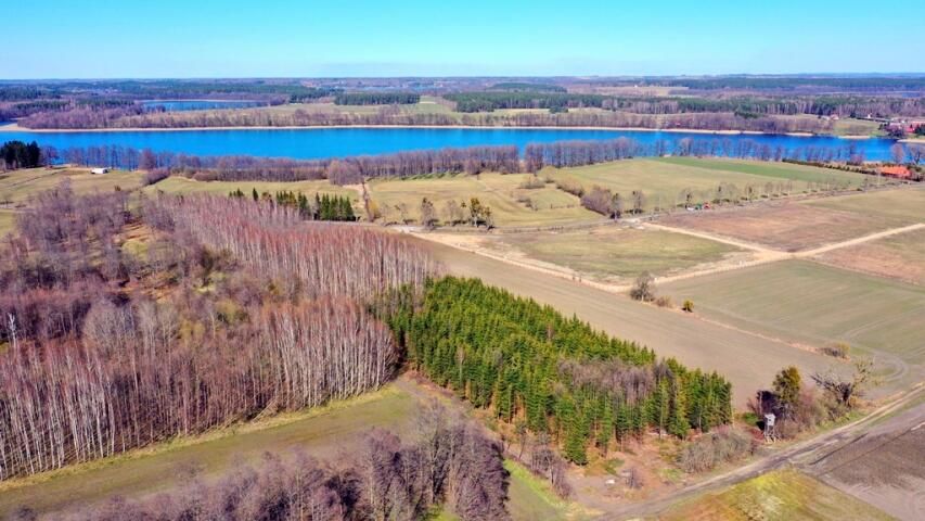 Działka leśna Harsz. Zdjęcie 3