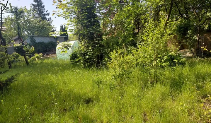Działka rod Gliwice Szobiszowice, ul. Bernardyńska