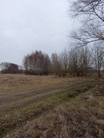 Działka rolna Górki Grabińskie. Zdjęcie 4