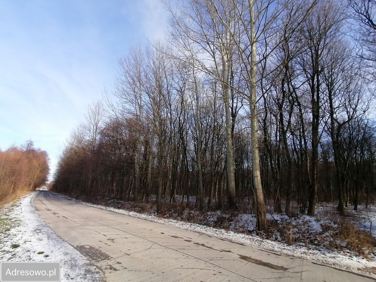 Działka budowlana Wręcza, ul. Pałacowa. Zdjęcie 4