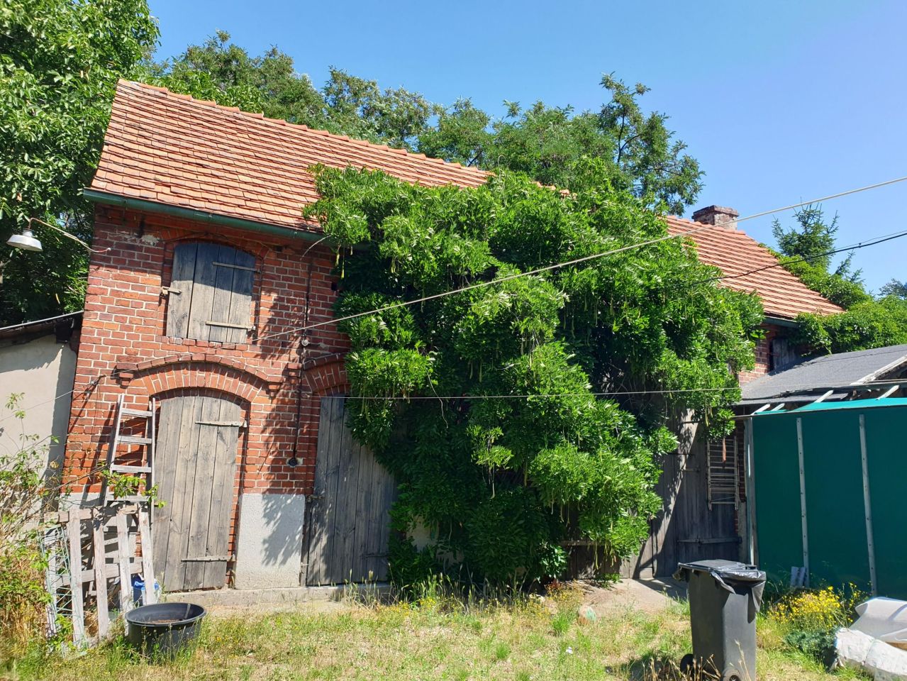 gospodarstwo, 5 pokoi Krosno Odrzańskie, ul. Wiejska. Zdjęcie 12