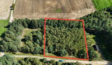 Działka budowlana Osowo Leśne