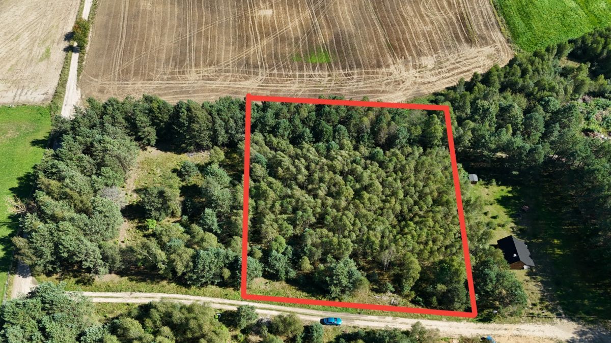 Działka budowlana Osowo Leśne. Zdjęcie 2