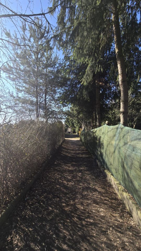 Działka rod Łódź Rokicie, ul. Świętojańska. Zdjęcie 10