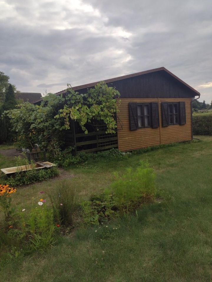 Działka rod Marianów. Zdjęcie 1