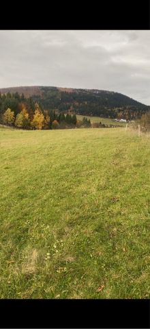 Działka budowlana Zawadka. Zdjęcie 1