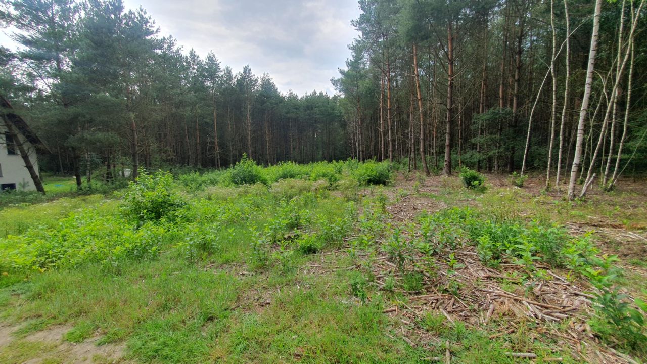 Działka budowlana Karczewko, ul. Bukowa. Zdjęcie 5