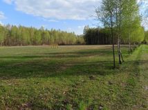 Działka rolno-budowlana Marianów. Zdjęcie 1