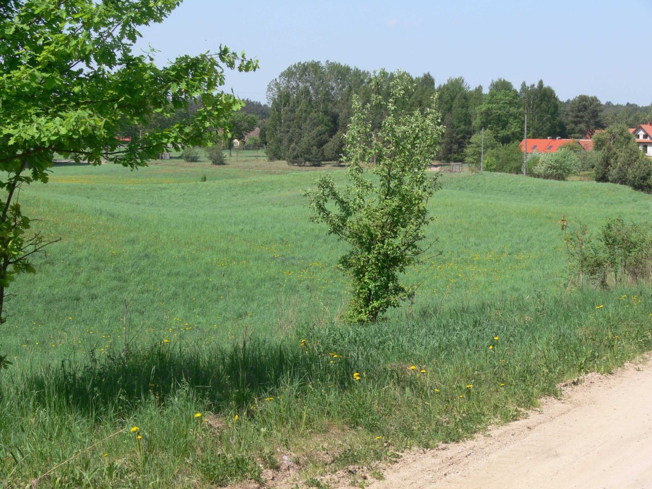 Działka rolno-budowlana Kosewo Kosewo Górne. Zdjęcie 2