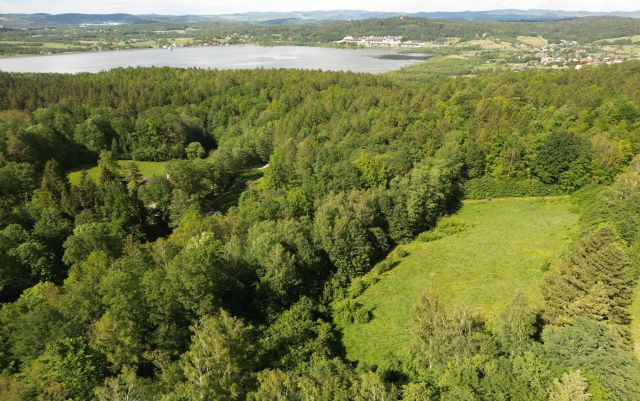 Działka siedliskowa Sosnówka, ul. Czerwona Dolina. Zdjęcie 1