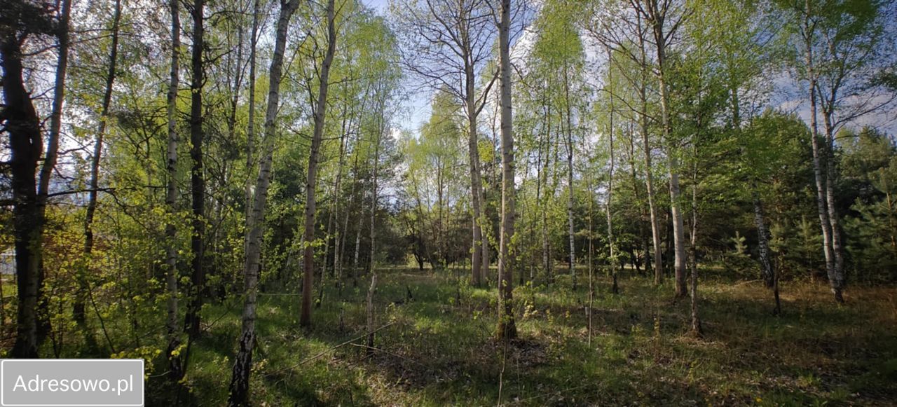 Działka budowlana Goździówka. Zdjęcie 10