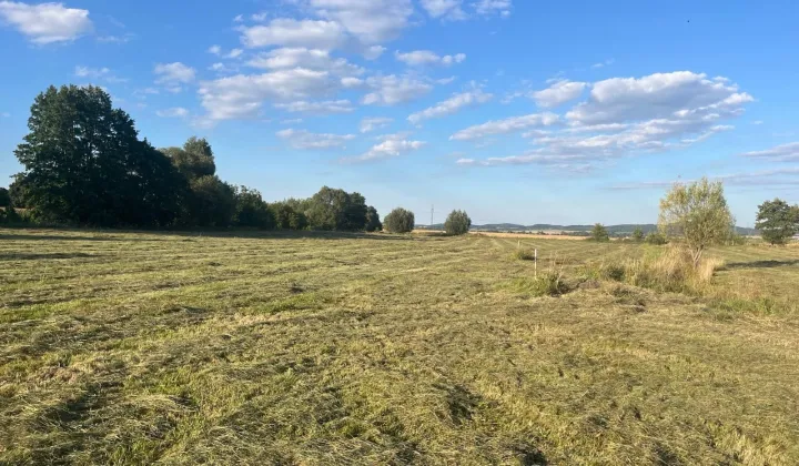 Działka budowlana Bielawa