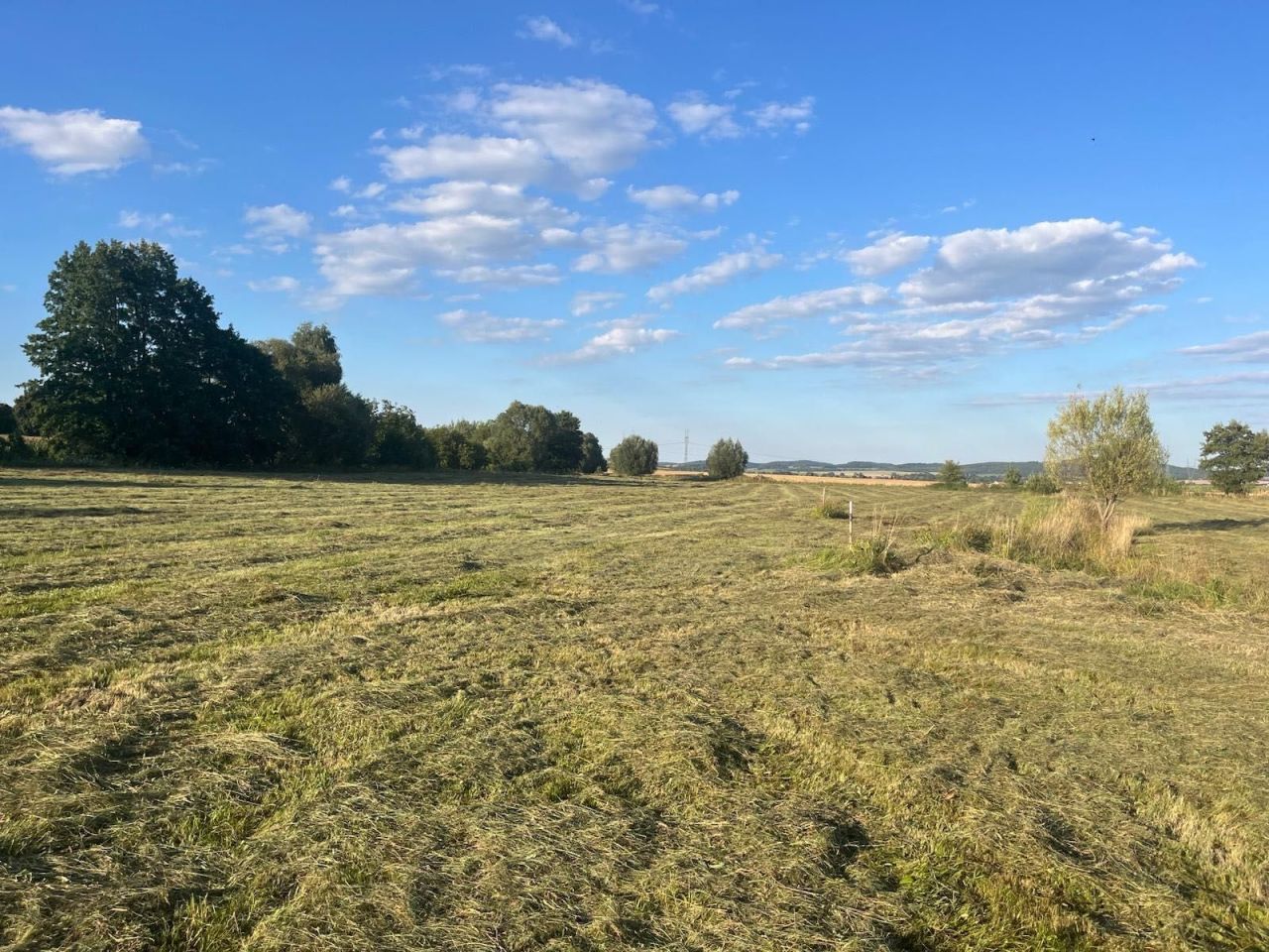 Działka budowlana Bielawa