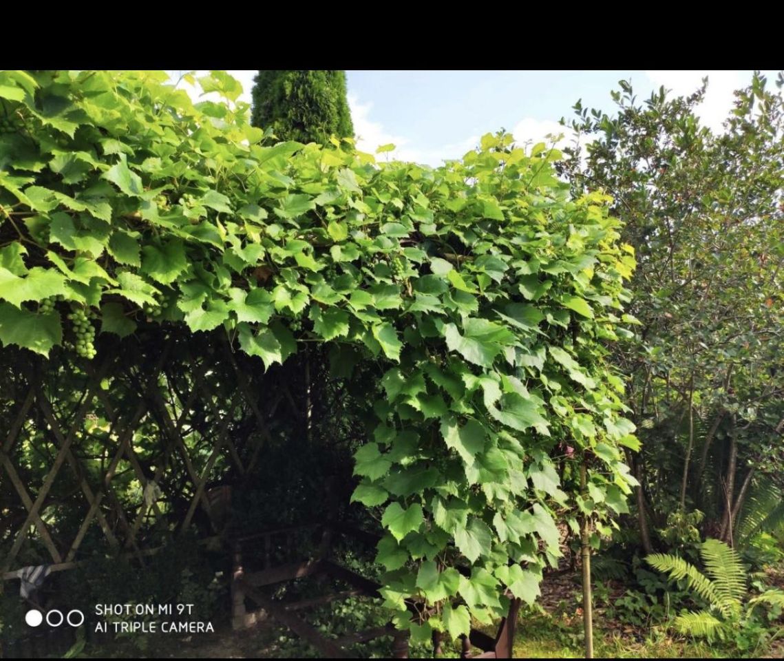 Działka rod Niekłonice. Zdjęcie 4