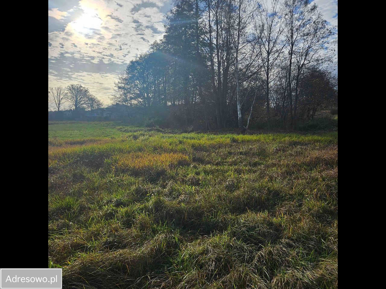 Działka rolno-budowlana Królewska Wola. Zdjęcie 4