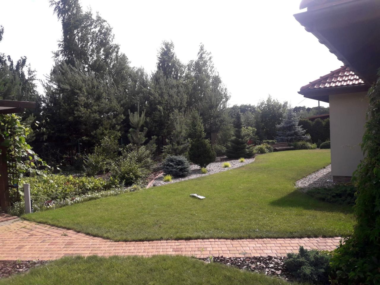 dom wolnostojący, 4 pokoje Borki. Zdjęcie 4