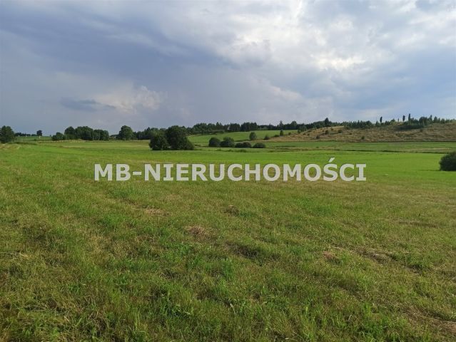 Działka rolna Różnowo. Zdjęcie 1