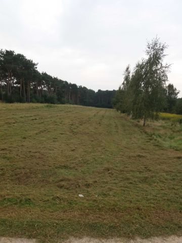 Działka rolno-budowlana Płock Podolszyce. Zdjęcie 1