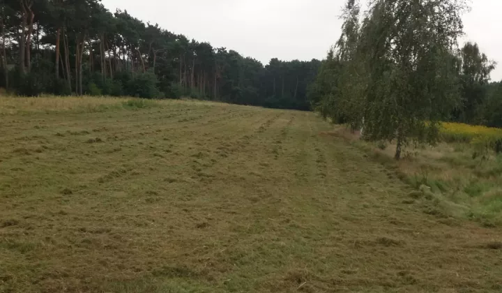 Działka rolno-budowlana Płock Podolszyce