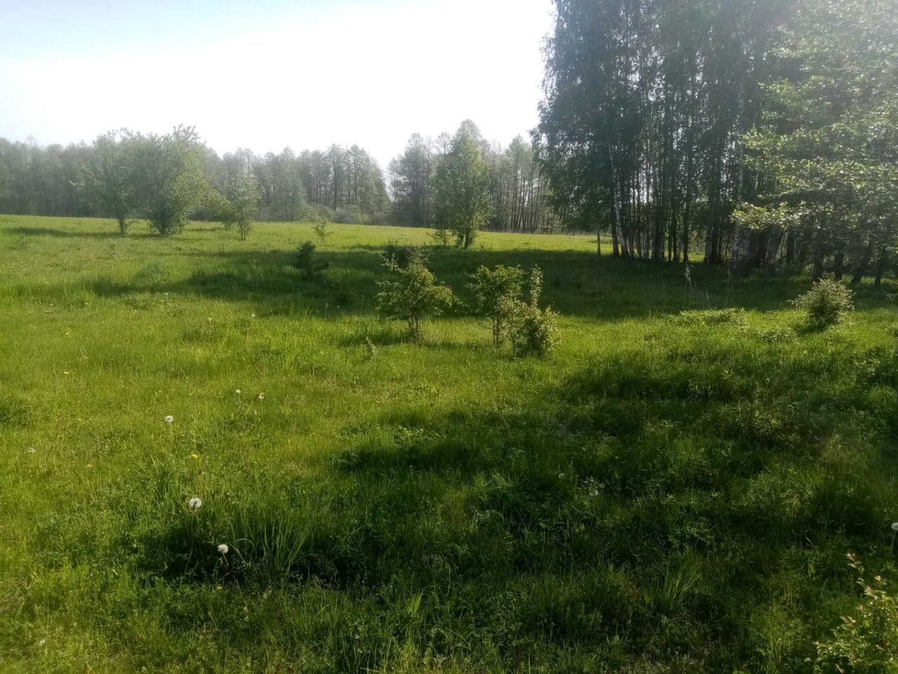 Działka rekreacyjna Mazury. Zdjęcie 4