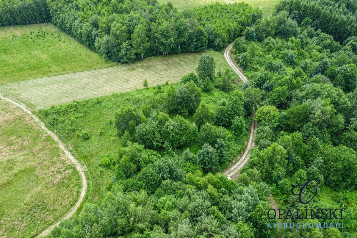 Działka leśna Straszydle. Zdjęcie 12