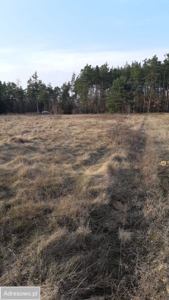 Działka budowlana Stanisławów. Zdjęcie 5