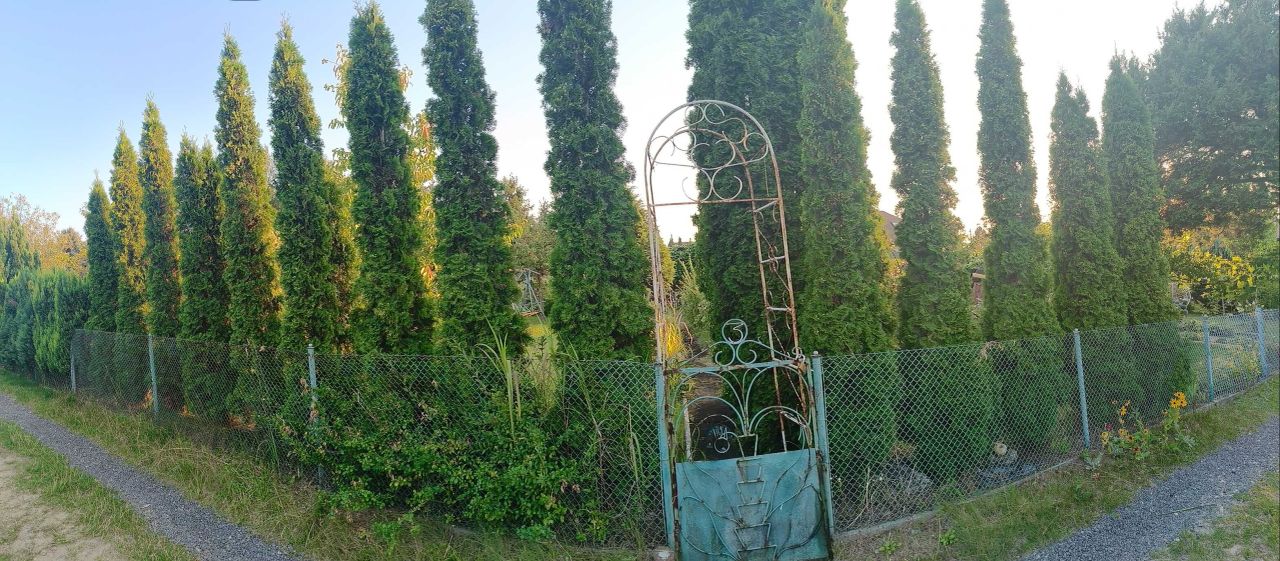 Działka rod Częstochowa Kiedrzyn, ul. św. Brata Alberta. Zdjęcie 4