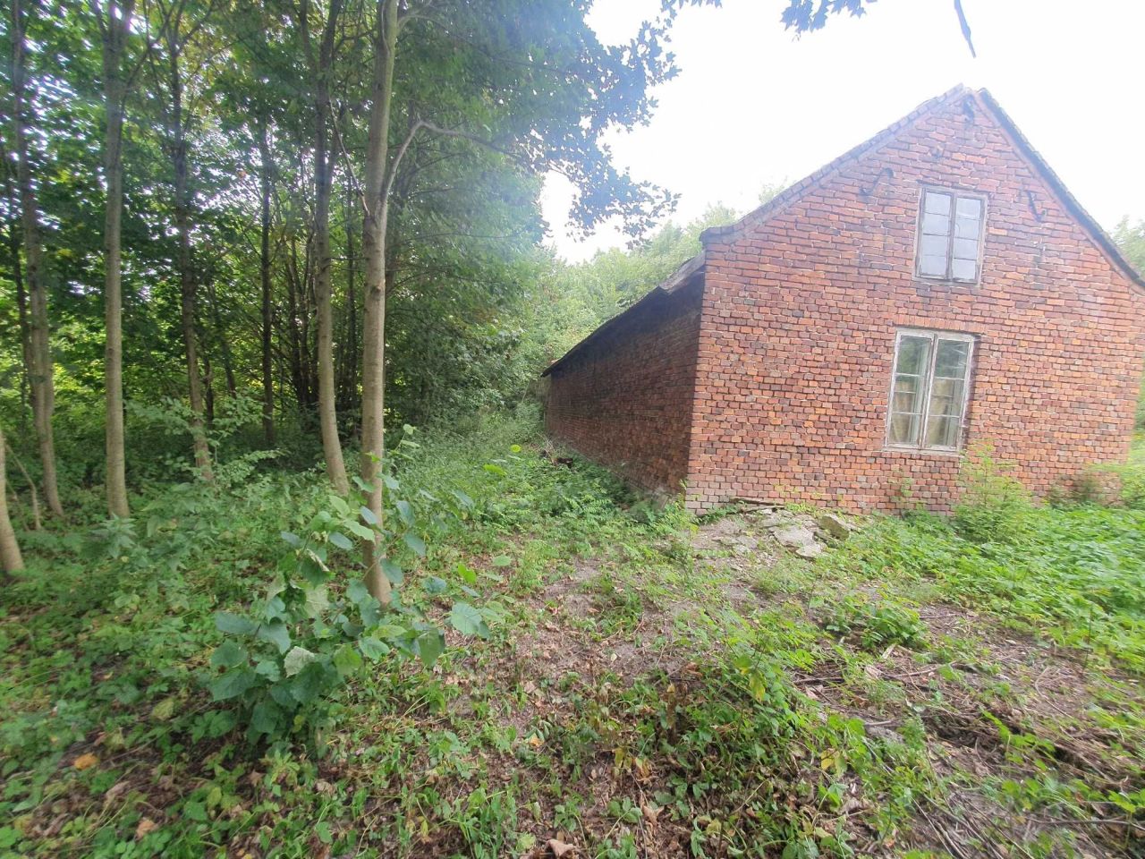 Działka rolno-budowlana Gniewięcin. Zdjęcie 2