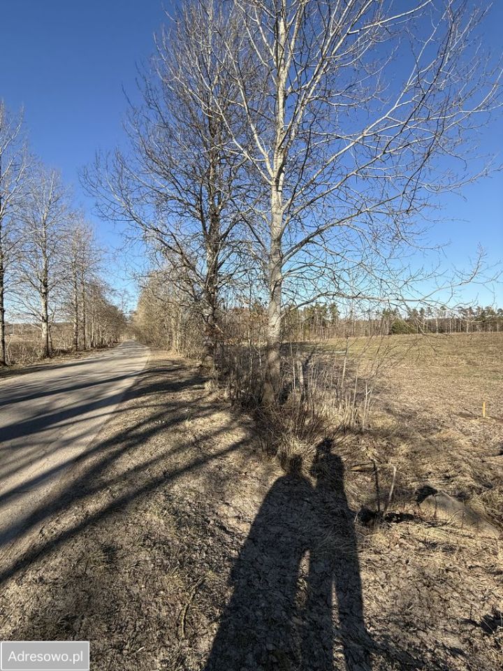 Działka siedliskowa Chrzanowo. Zdjęcie 9
