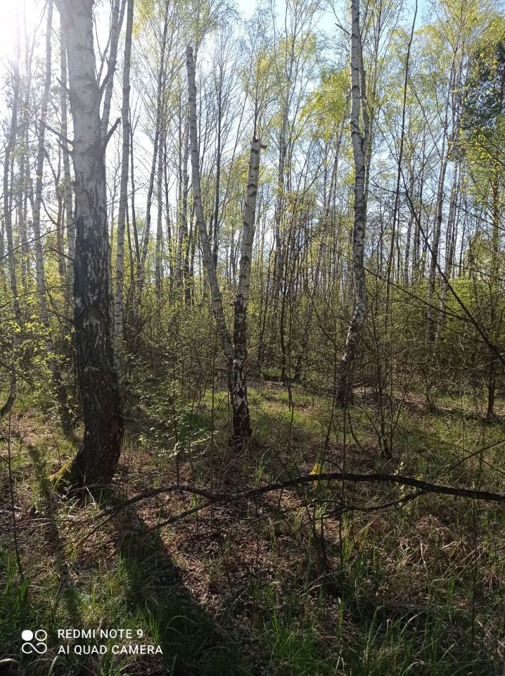 Działka budowlana Tomczyn. Zdjęcie 3