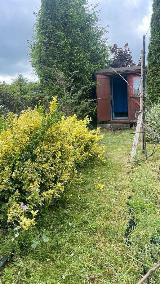 Działka rod Ciechanów. Zdjęcie 3