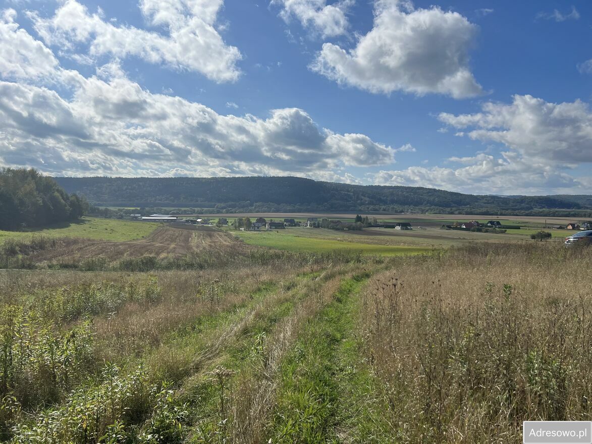 Działka budowlana Nienadowa. Zdjęcie 5