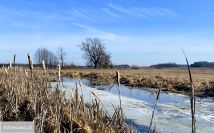 dom wolnostojący, 2 pokoje Czerewki. Zdjęcie 1