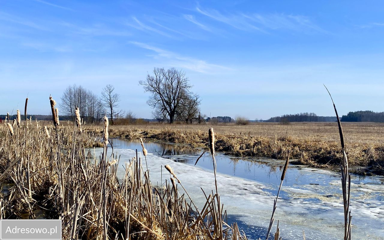 dom wolnostojący, 2 pokoje Czerewki. Zdjęcie 2