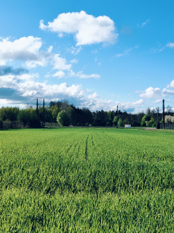 Działka rolno-budowlana Stoczek. Zdjęcie 2