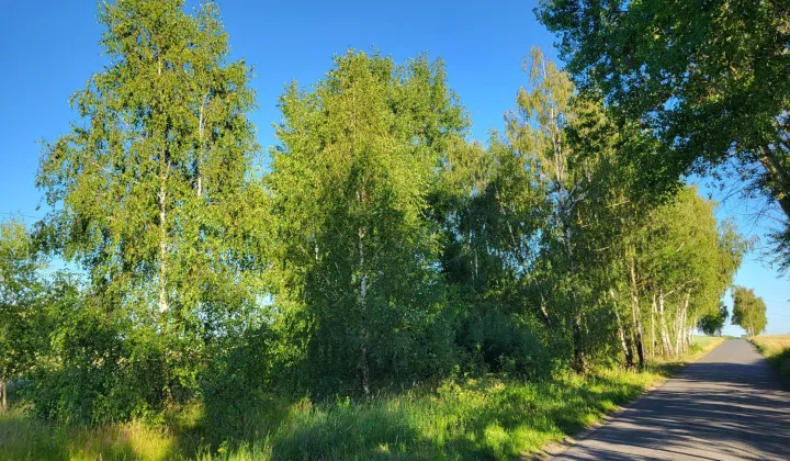 Działka rolno-budowlana Lubowidza