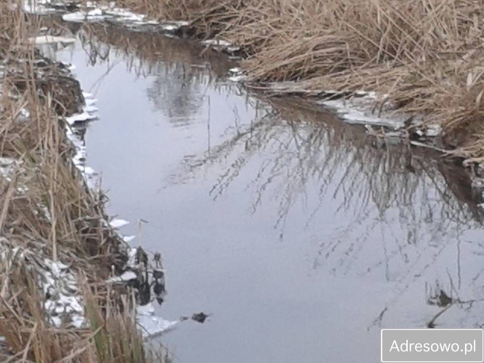 dom wolnostojący Kramkówka Duża. Zdjęcie 6