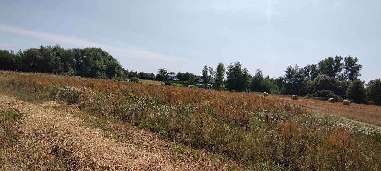 Działka budowlana Brzyków Brzyków Poduchowny. Zdjęcie 4