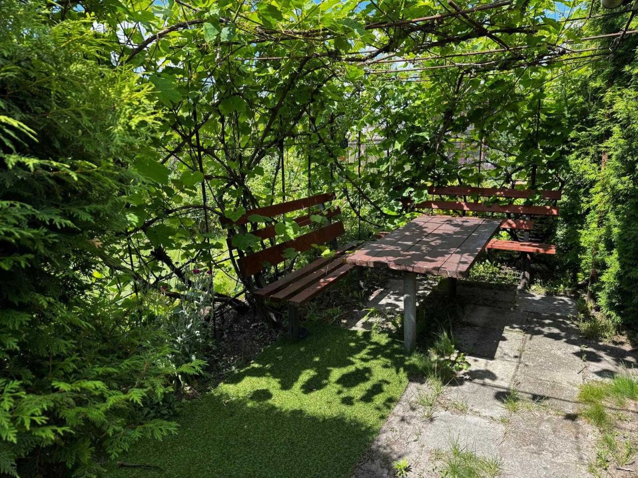 Działka rod Siedlce, ul. Piaskowa. Zdjęcie 3