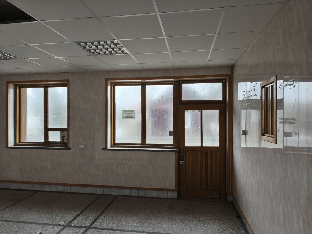 Działka inwestycyjna Borowa. Zdjęcie 6